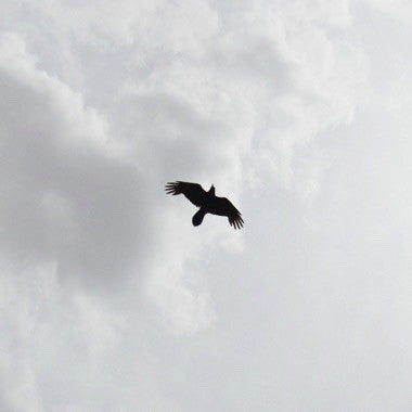 Moon Bros. – These Stars – Release:547db67e-b4a7-4220-b156-4a56f2fa77af (cover)