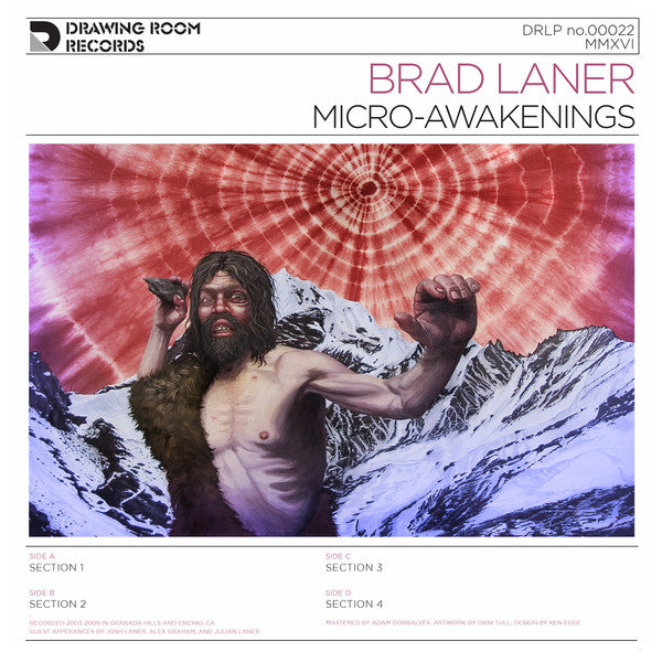 Brad Laner – Micro-Awakenings – Release:4079c2f7-958a-4dc5-a771-f9444e16a749 (cover)