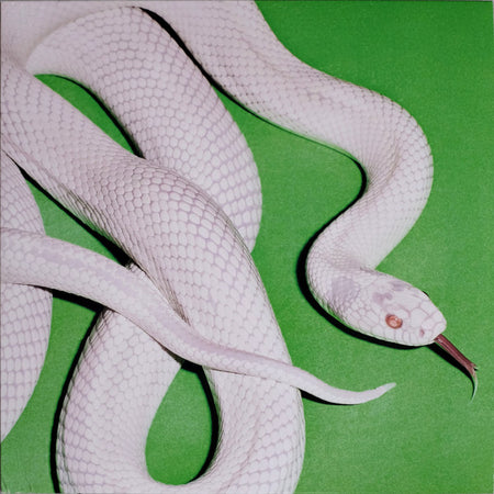 Deftones - Private Music Record Reprise Records 2025 / Europe / Reprise Records / ZQ04N NEW NEW