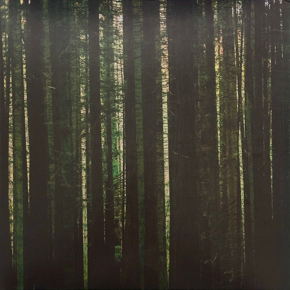 The Paper Kites – Evergreen – Release:70f93baf-bf30-4c03-81d7-88c68a6112a4 (cover)