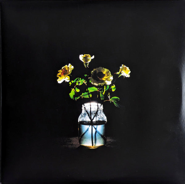 Billy Strings – Renewal – Release:176bfa84-4d36-4ad3-bb21-9b82869d7453 (cover)