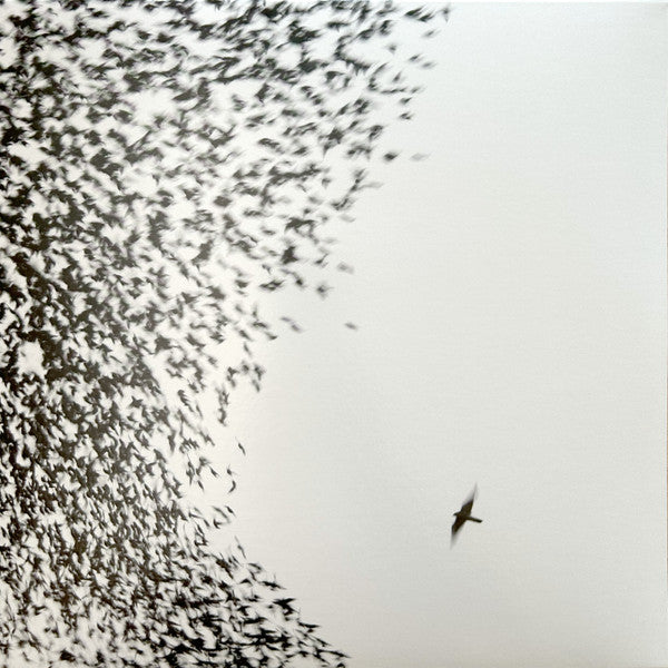 Wilco – Sky Blue Sky – Release:c601492e-f980-42c8-b094-79dd096bda9b (cover)