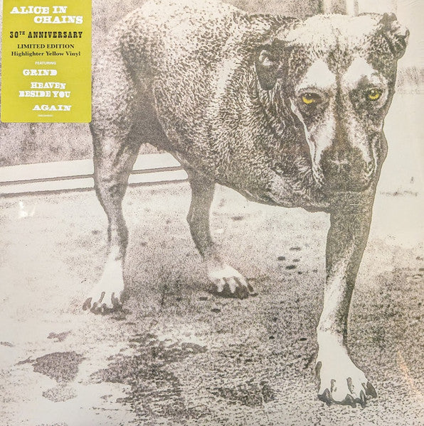 Alice In Chains – Alice In Chains – Release:9c8412d7-afbe-44ca-b019-b6f3657e8086 (cover)