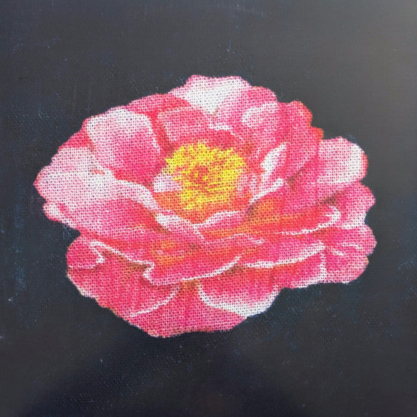 Post Malone – Tribute To Nirvana – Release:e1cc9bb1-f063-4a30-be98-4322c1f82e81 (cover)