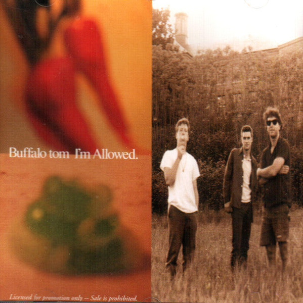 Buffalo Tom - I'm Allowed Record Beggars Banquet 1993 / US / Beggars Banquet / WLTCY VG VG