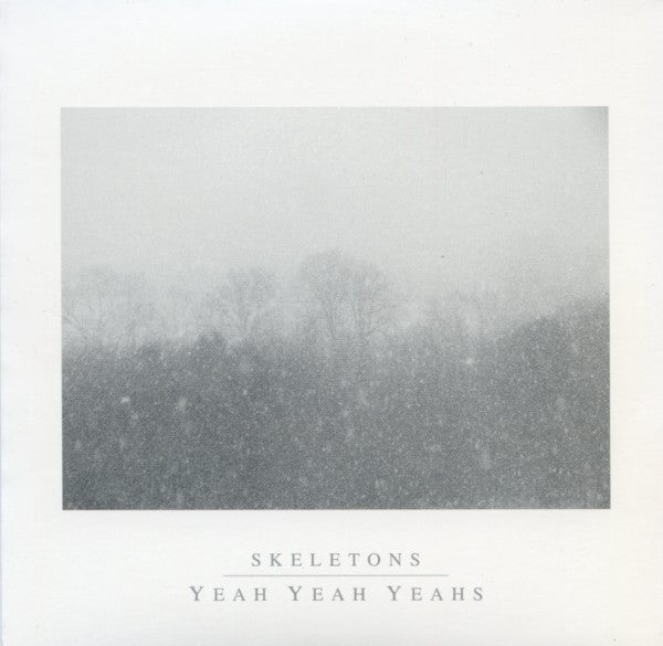 Yeah Yeah Yeahs – Skeletons – Release:e1d6adbc-fb6f-4f63-86e6-89a4acafcf0c (cover)