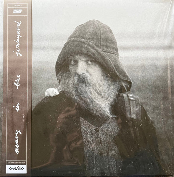 mary in the junkyard - Role Model Hermit Record AMF Records (3) 2026 / UK & Europe / Clear Transparent / AMF Records (3) NEW NEW