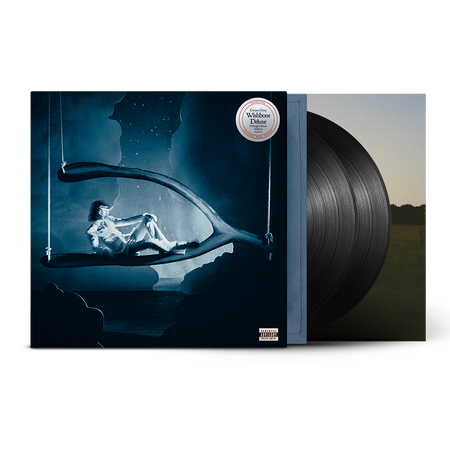 Conan Gray - Wishbone Deluxe (Midnight Black Edition Vinyl) Vinyl > LP Republic Records NEW NEW