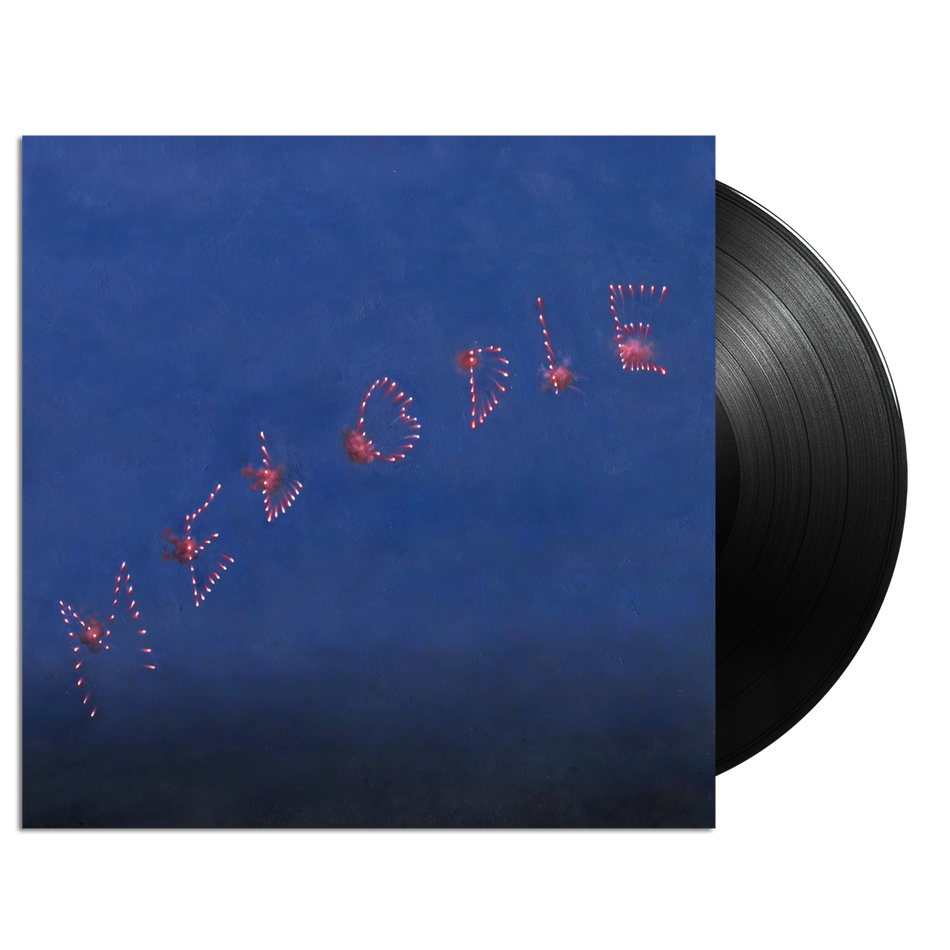 Slow Pulp - Melodie (Black Vinyl) Vinyl > LP Anti