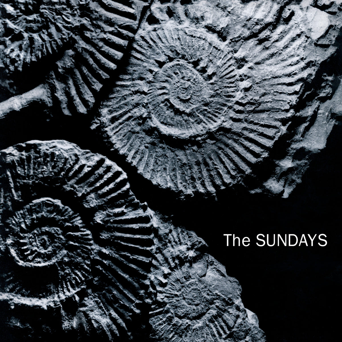 The Sundays - Reading, Writing and Arithmetic (Black Vinyl) Vinyl > LP Parlophone Int'l