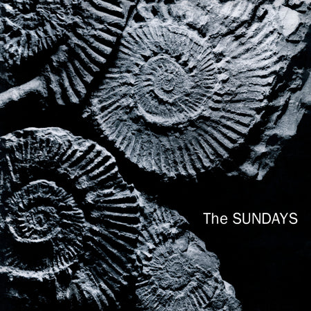 The Sundays - Reading, Writing and Arithmetic (Black Vinyl) Vinyl > LP Parlophone Int'l