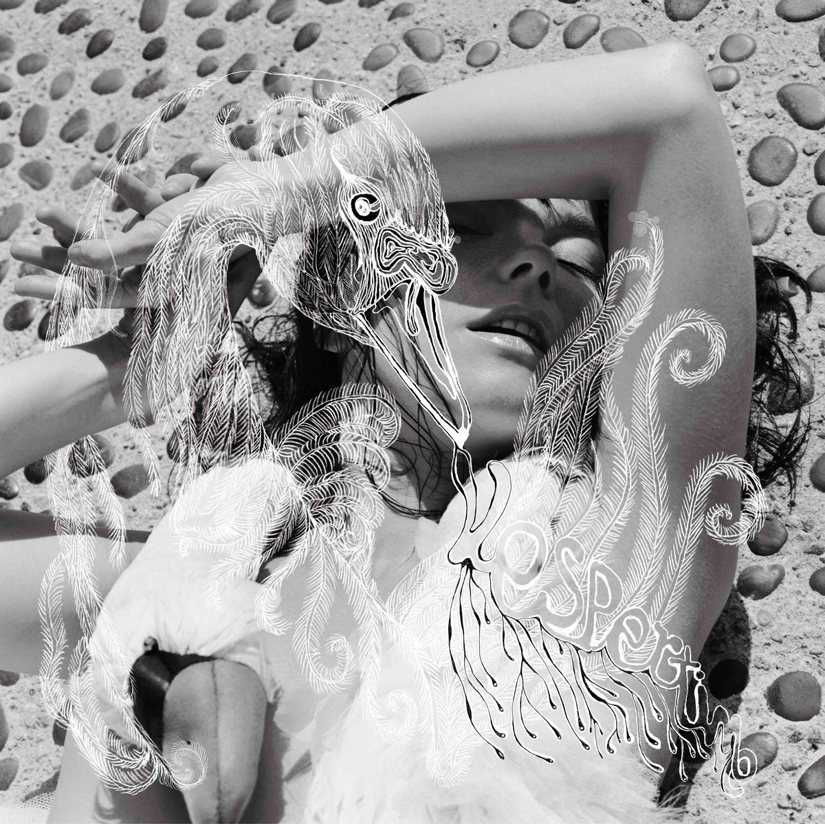 Björk - Vespertine (Vinyl)