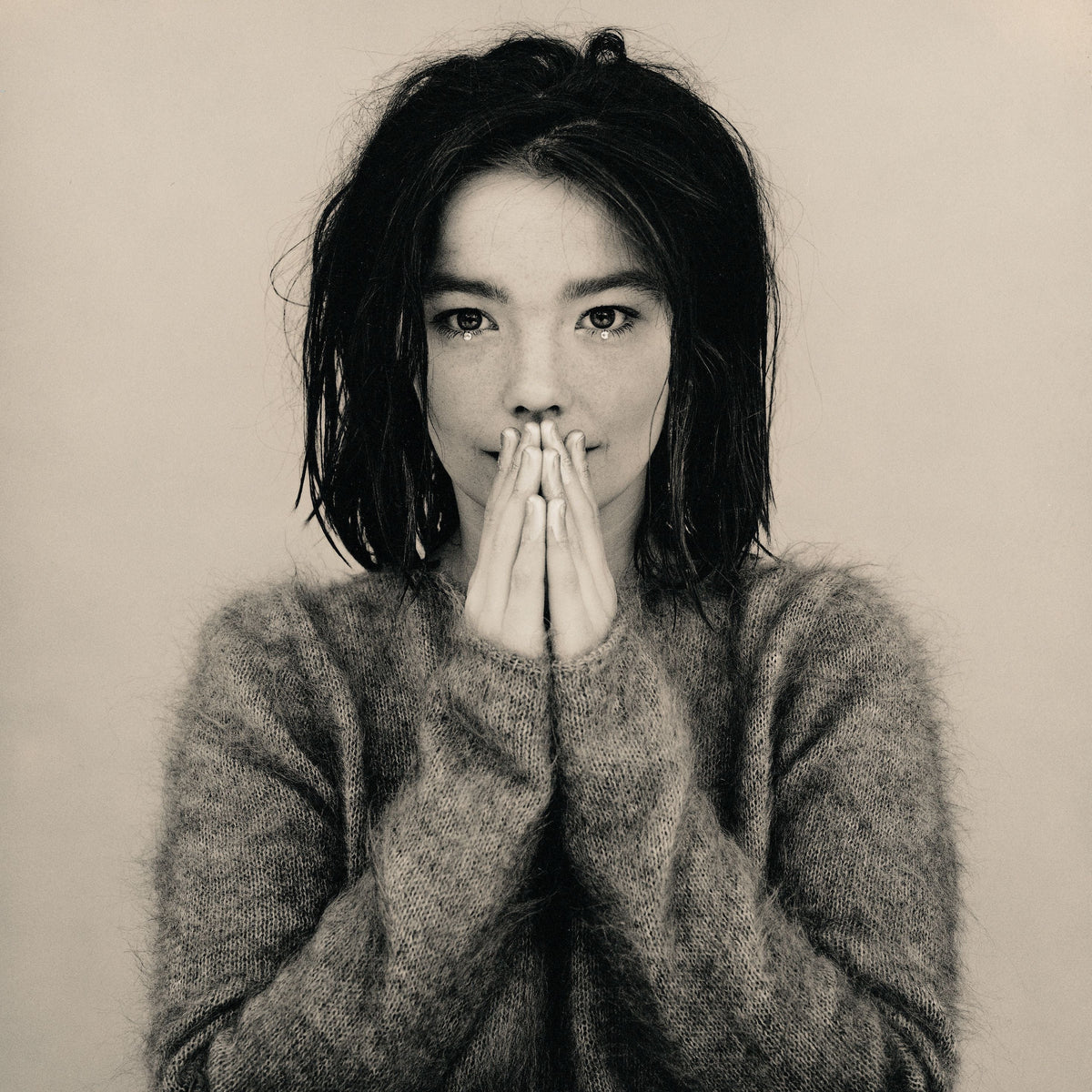 Björk - Debut (Vinyl)