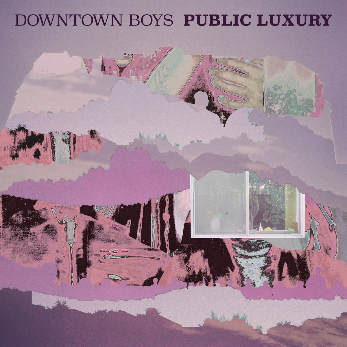 [PREORDER] Downtown Boys - Public Luxury Preorder Sub Pop