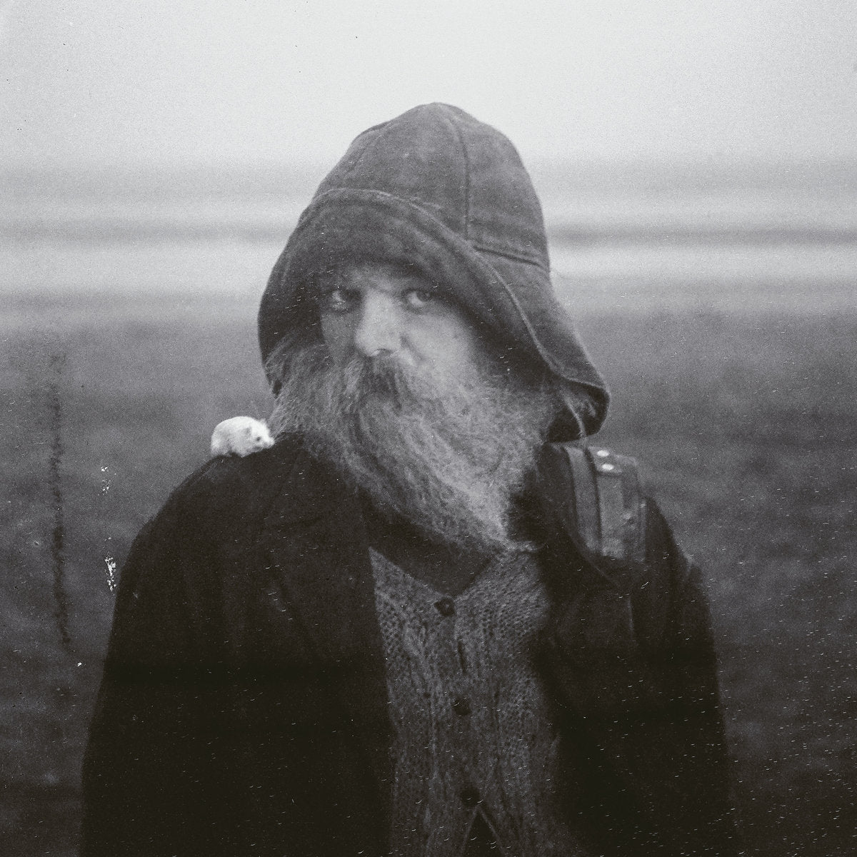 [PREORDER] Mary in the Junkyard - Role Model Hermit Preorder Amf Records 2026 / US / LP Indie Exclusive Clear Colored Vinyl NEW NEW