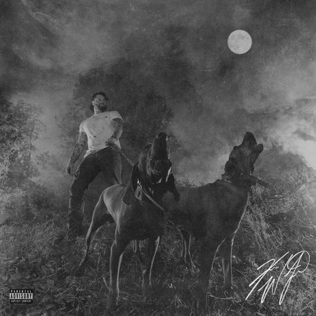 Koe Wetzel - The Night Champion (Black Vinyl) Vinyl > LP Columbia Records