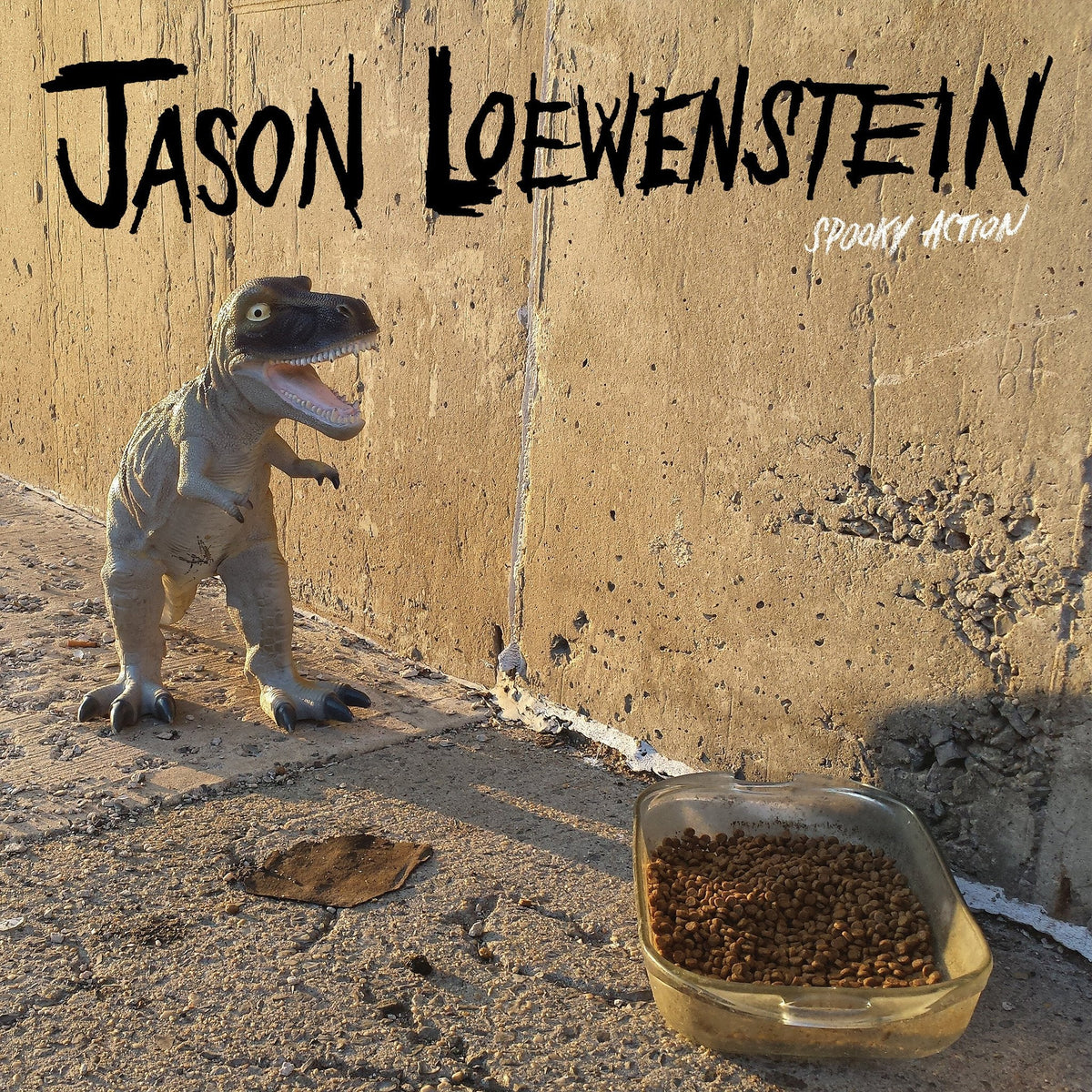 Jason Loewenstein - Spooky Action (Black Vinyl) Vinyl > LP Joyful Noise Recordings
