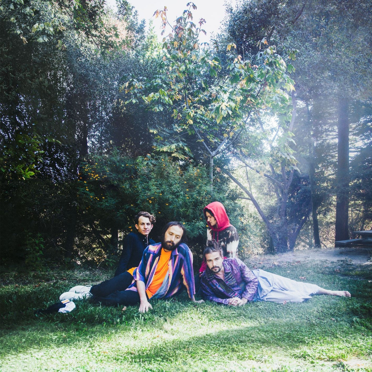 Big Thief - U.F.O.F. (Black Vinyl) Vinyl > LP 4AD