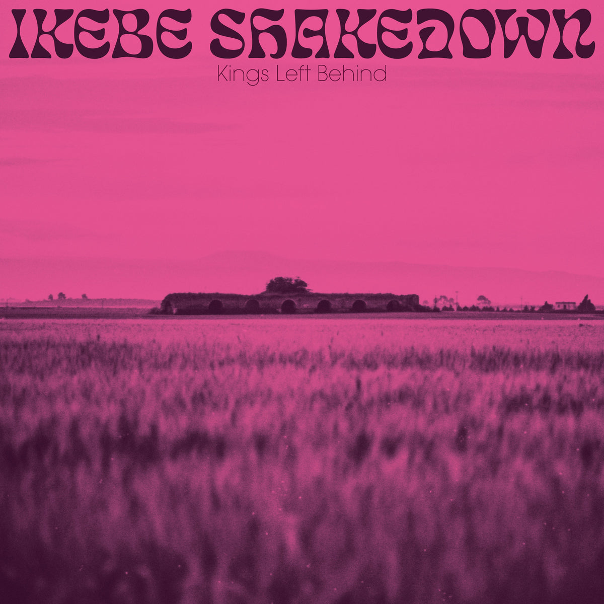 Ikebe Shakedown - Kings Left Behind (Vinyl) Vinyl > LP Colemine Records NEW NEW