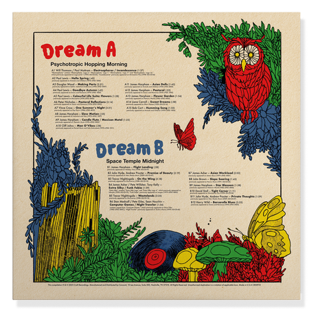 Various Artists - Dream A Dream With Studio G: Cratedigger's Archive (1970-2009) (Red Vinyl) - back cover