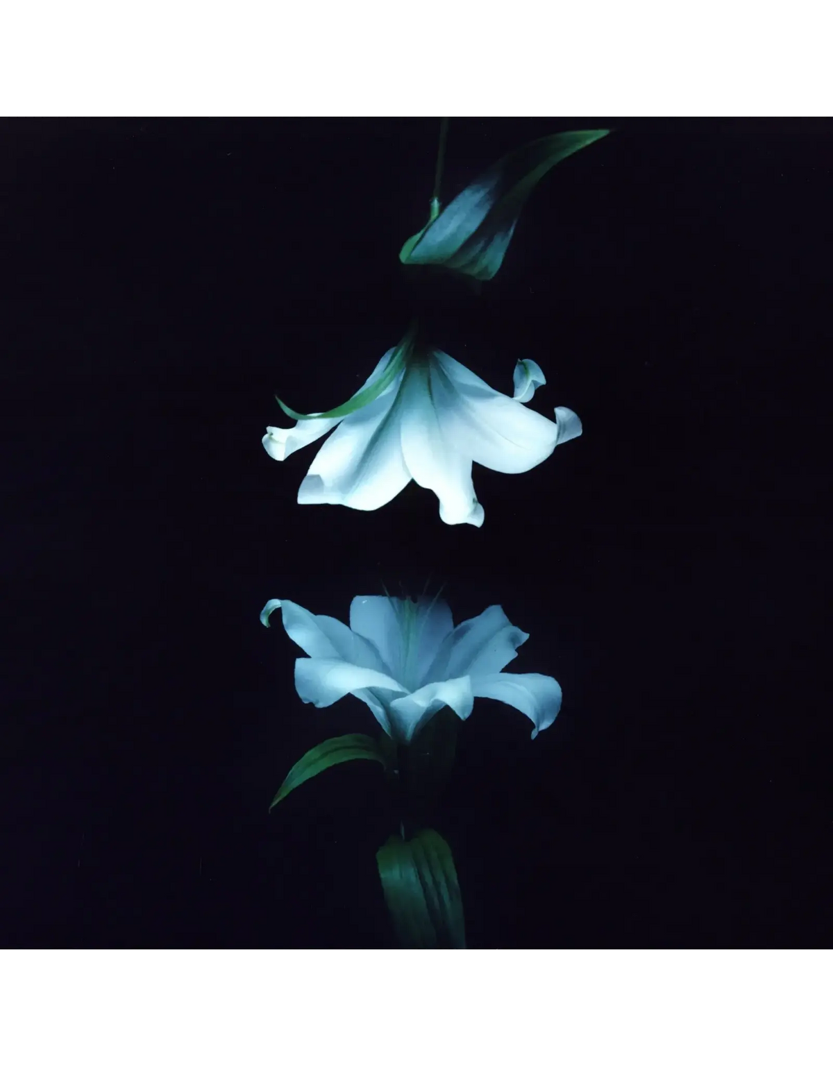 Wasia Project - Nocturne (Indie Exclusive Blue Vinyl) Vinyl Laolao Records