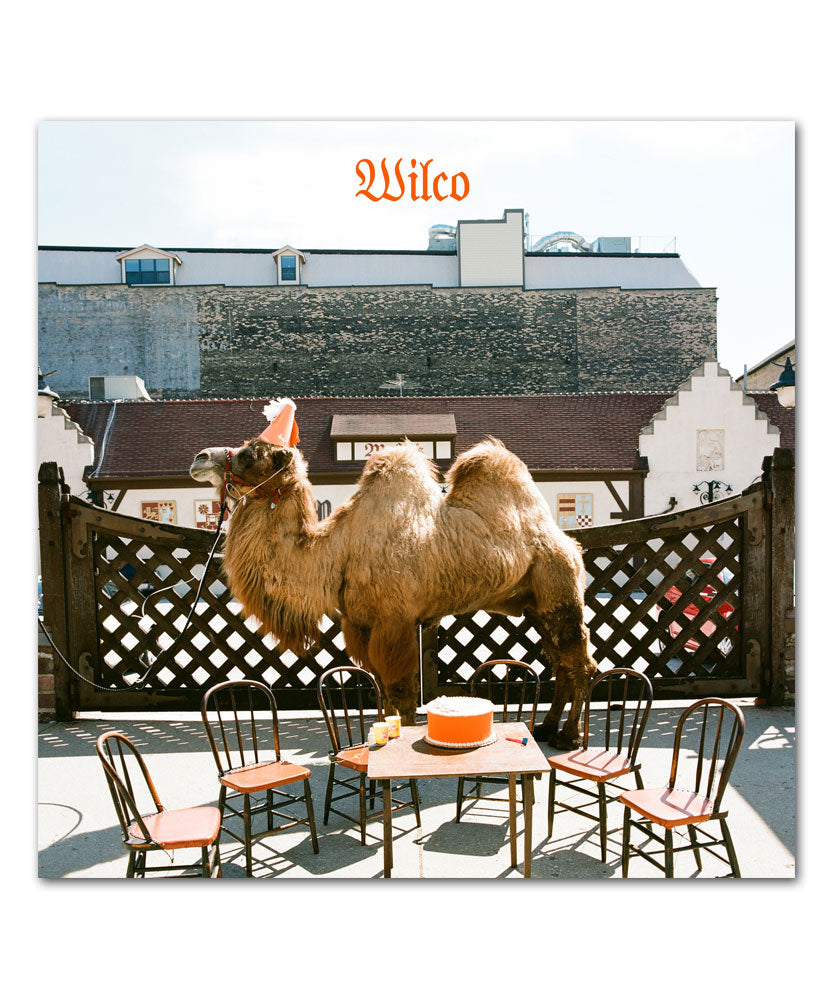 Wilco - Wilco (The Album) (Vinyl) Vinyl > LP Nonesuch