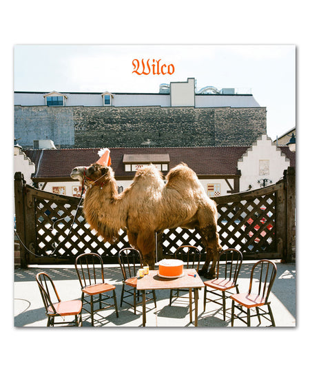 Wilco - Wilco (The Album) (Vinyl) Vinyl > LP Nonesuch