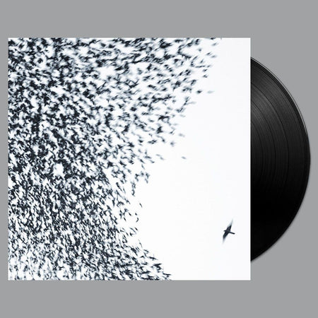 Wilco - Sky Blue Sky (Vinyl)